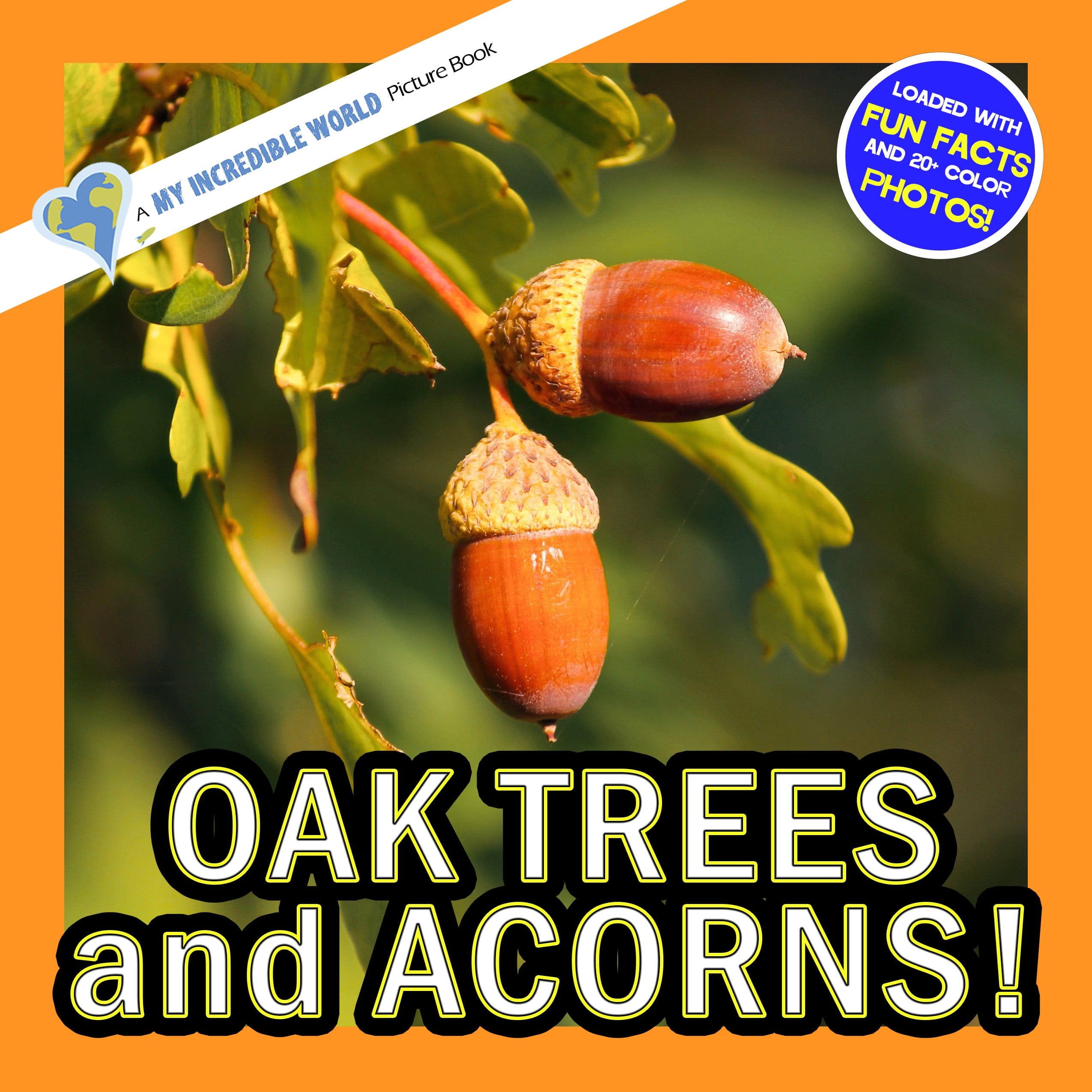 Oak Trees and Acorns! A My Incredible World Picture Book for Children
